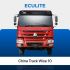 33 China Truck Wise 10